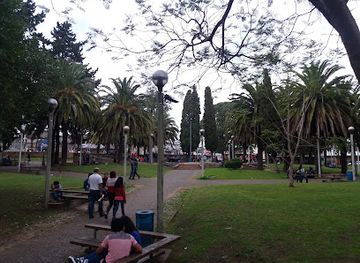 uruguay/rivera/attraction/flowers-square