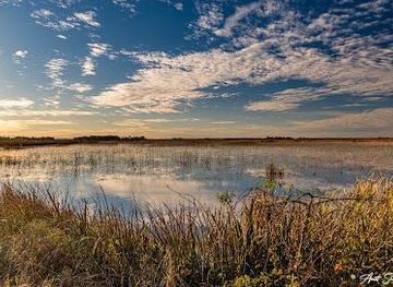 south-carolina/hilton-head-island/attraction/savannah-national-wildlife-refuge