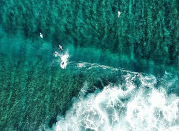 maldives/thulusdhoo-island/attraction/surf-point-cokes