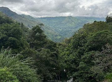 sri-lanka/moneragala-district/attraction/foggy-road