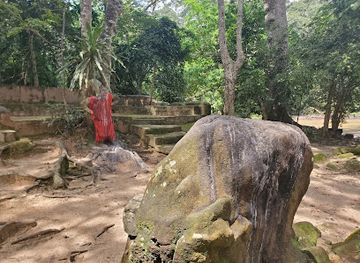 nigeria/yoruba/attraction/osun-osogbo-sacred-grove-park-and-gardens