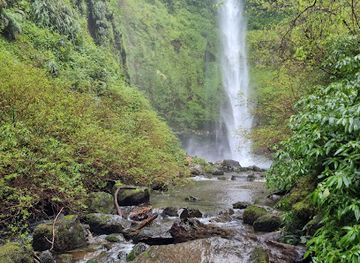 chile/los-rios-region/attraction/cascada-el-claro