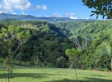 mauritius/black-river-gorges-national-park/attraction/lavilleon-adventure-park