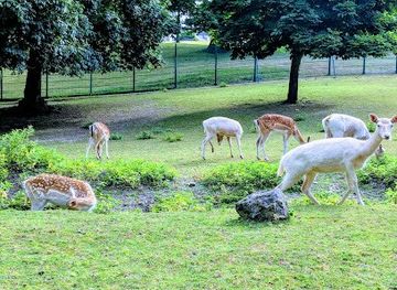 united-kingdom/london/attraction/maryon-wilson-animal-park