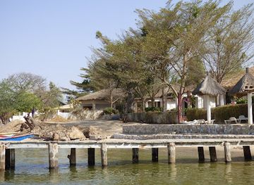 senegal/saint-louis/attraction/saloum-delta-national-park