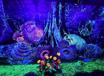 malaysia/george-town/attraction/dark-mansion-3d-glow-in-the-dark-museum