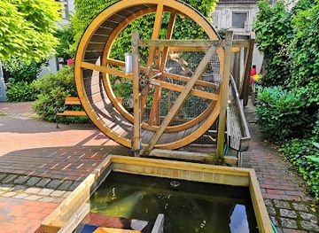 germany/north-frisia/attraction/phanomenta