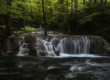 romania/caras-severin/attraction/poteca-spre-bei