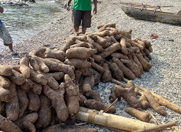 vanuatu/tanna-island/attraction/ipak-bay-fun-tours