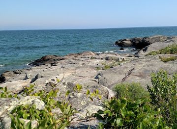 massachusetts/south-coast/attraction/mass-audubon-s-allens-pond-wildlife-sanctuary