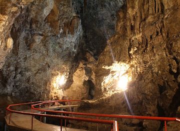 mexico/chiapas-highlands/attraction/parque-ecoturistico-rancho-nuevo