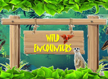 ireland/county-limerick/attraction/wild-encounters-mini-zoo