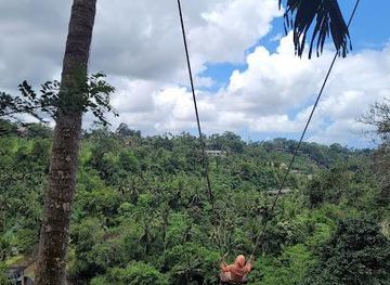 indonesia/bali/attraction/real-bali-swing