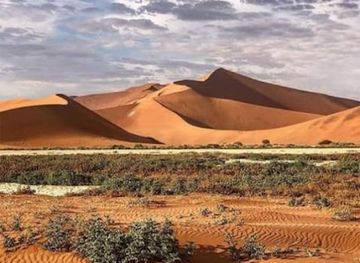 namibia/windhoek/attraction/liberty-brands-of-unlimited-art