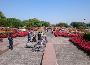japan/chikuzen/attraction/kurume-hyakunen-park