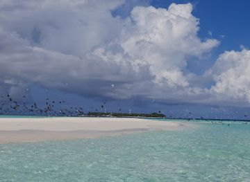 maldives/meemu-atoll/attraction/boariki-sandbank