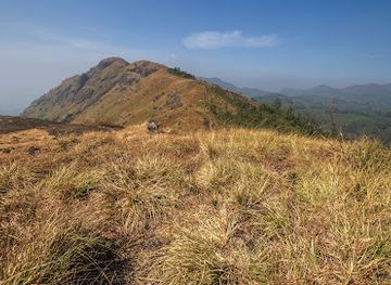 india/munnar/attraction/munnar-trekking-viewpoint-1