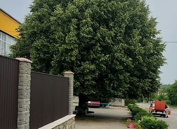 ukraine/vinnytsia-region/attraction/Velika-lipa