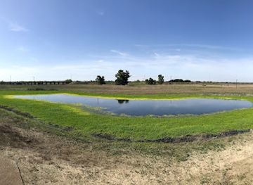 california/northern-california/attraction/yolo-bypass-wildlife-area