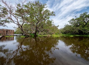 new-caledonia/hienghene/attraction/observatoire-du-marais-fournier