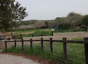 israel/ashdod/attraction/tel-mor