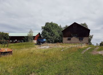 sweden/dalarna/attraction/haljesta-petroglyphs