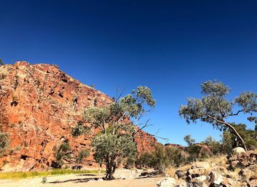 australia/macdonnell-ranges/attraction/pyndan-camel-tracks-alice-springs