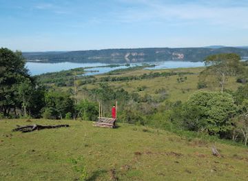 paraguay/cerro-cora-national-park/attraction/ecological-tree-museum-complex