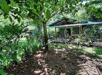 costa-rica/cahuita-national-park/attraction/playa-grande-en-cahuita