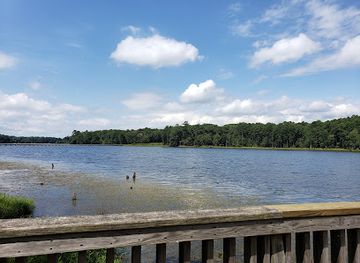 virginia/newport-news/attraction/newport-news-park-discovery-center