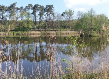 poland/greater-poland/attraction/reserve-dabrowa-grotnicka