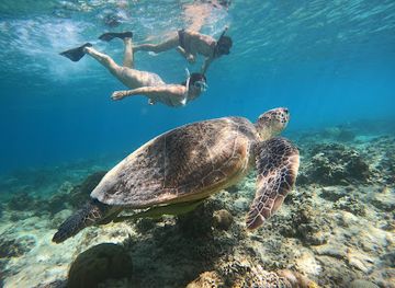 indonesia/gili-islands/attraction/abdul-gili-boys