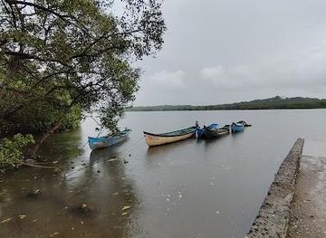 india/panaji/attraction/chorao-island