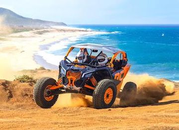 mexico/cabo-san-lucas/attraction/cactus-tours