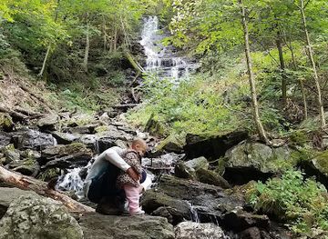 massachusetts/mount-greylock-state-reservation/attraction/money-brook-falls