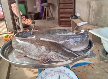 nigeria/erin-ijesha-waterfall/attraction/fatsonic-fisheries