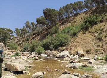jordan/ajloun-forest-reserve/attraction/zarqa-river-view-point
