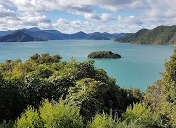 new-zealand/west-coast/attraction/kaipupu-sanctuary