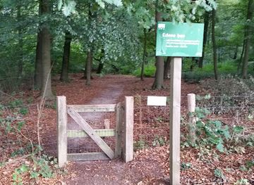 netherlands/hoge-veluwe-national-park/attraction/ede-forest