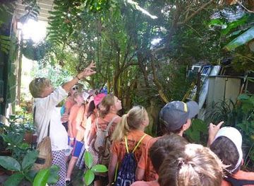 louisiana/slidell/attraction/nola-tours