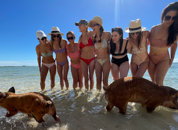 the-bahamas/new-providence/attraction/pigs-cove-beach-adventures