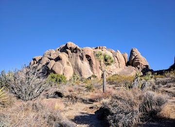 california/joshua-tree/attraction/split-rock-loop-trail