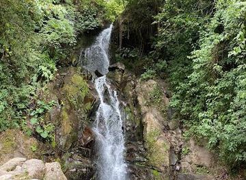 panama/volcan/attraction/san-ramon-waterfall