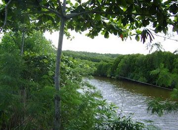 vietnam/vung-tau/attraction/can-thanh-park