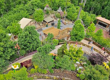 tennessee/gatlinburg/attraction/astra-lumina