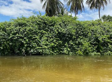 brazil/lencois-maranhenses-national-park/attraction/praca-buraco-da-taiza
