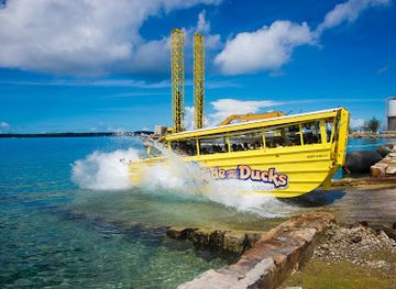 guam/agat/attraction/ride-the-ducks-guam
