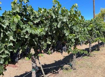 california/martinez/attraction/peter-cellars