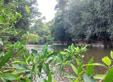 belize/crooked-tree-wildlife-sanctuary/attraction/nohoch-che-en-caves-branch-archaeological-reserve