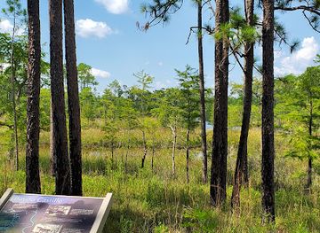mississippi/the-north-central-hills/attraction/mississippi-sandhill-crane-national-wildlife-refuge-admin-building-and-visitor-contact-station